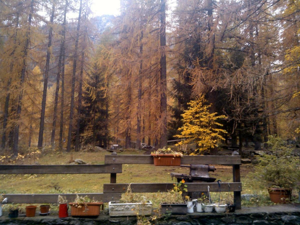 B&B Le Temps D'Une Pause Champorcher Buitenkant foto